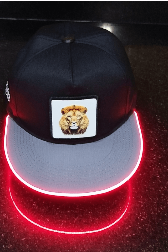 Aslan Bench Siyah-Gri LED'li Hip Hop Şapka